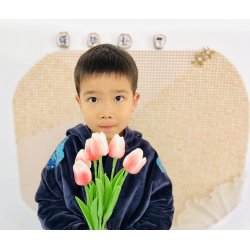 Liectroux vinduesvasker-robot YW509