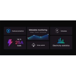 SONOFF POWR3 High Power Smart Switch