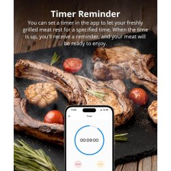SONOFF BBQ Meat Thermometer | BMT01