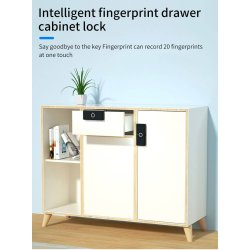 Skabsls med fingeraftrykslser GS-CTS11