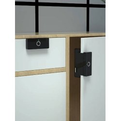 Skabsls med fingeraftrykslser GS-CTS11